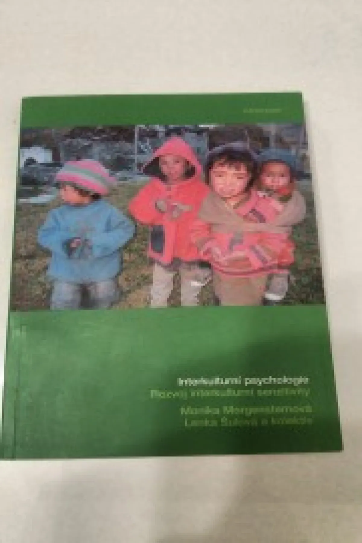 Interkulturni psychologie - Morgensternová, Šulová