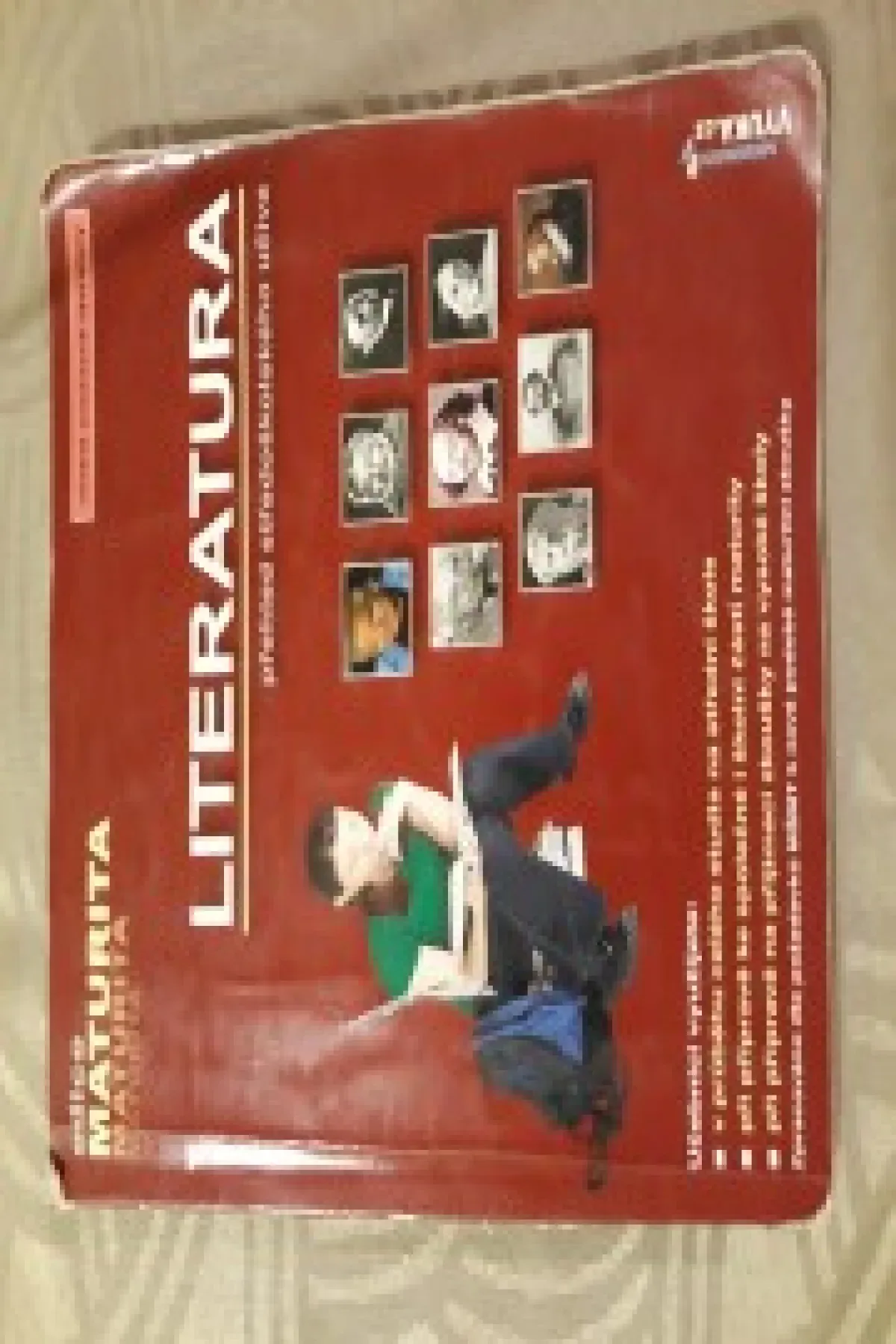 Literatura, přehled středoškolského učiva