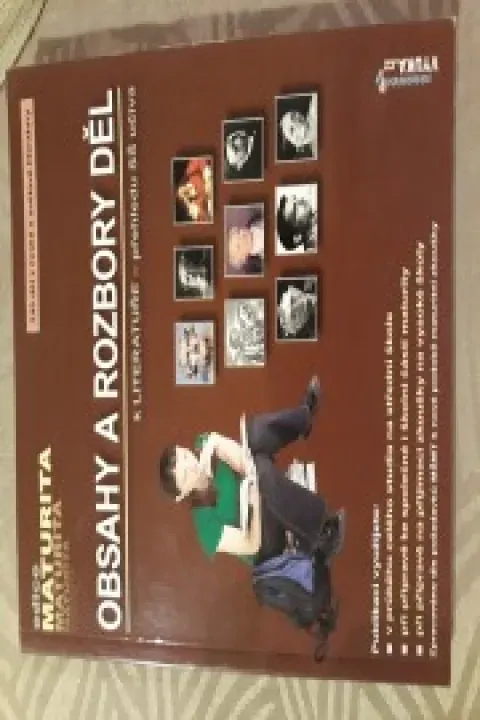 Obsahy a rozbory děl k literatuře (maturita)