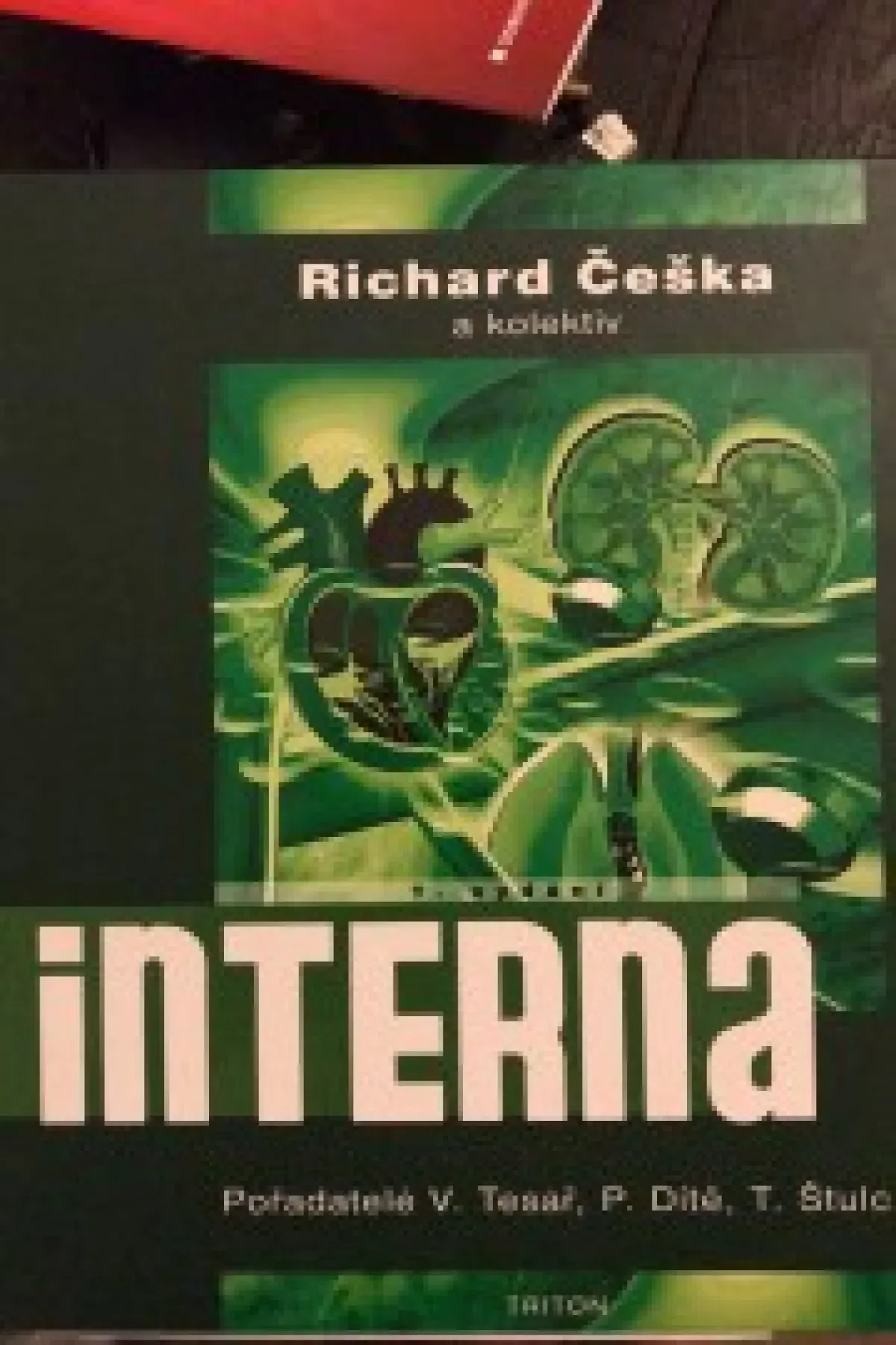 Interna Richard Češka 2010 rok vydání