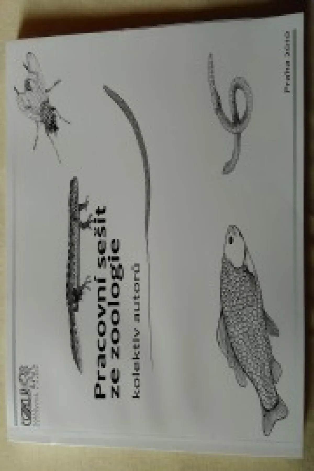 Pracovní sešit ze zoologie