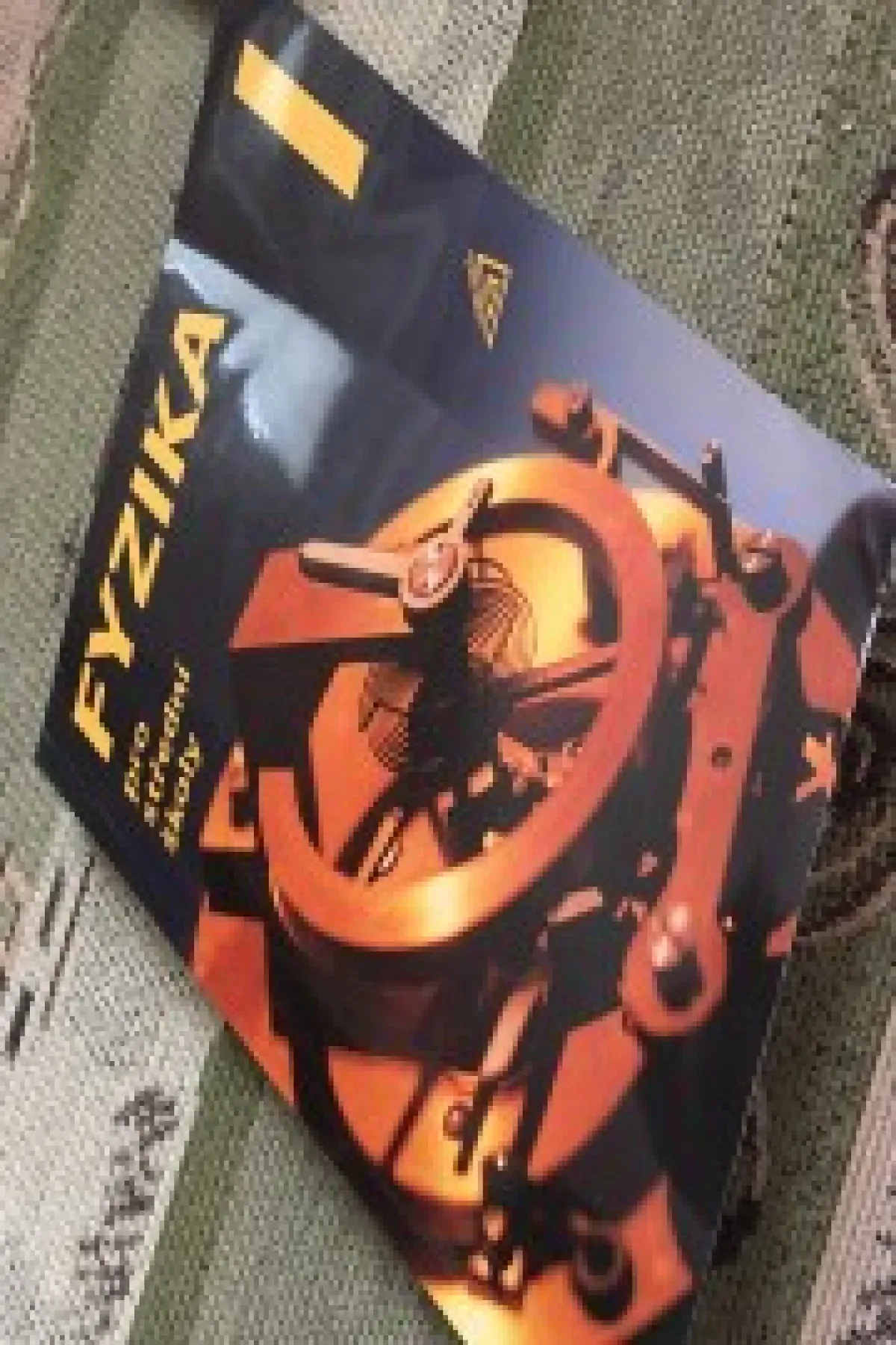 Fyzika pro střední školy 1.díl (přepracované vydání s CD)