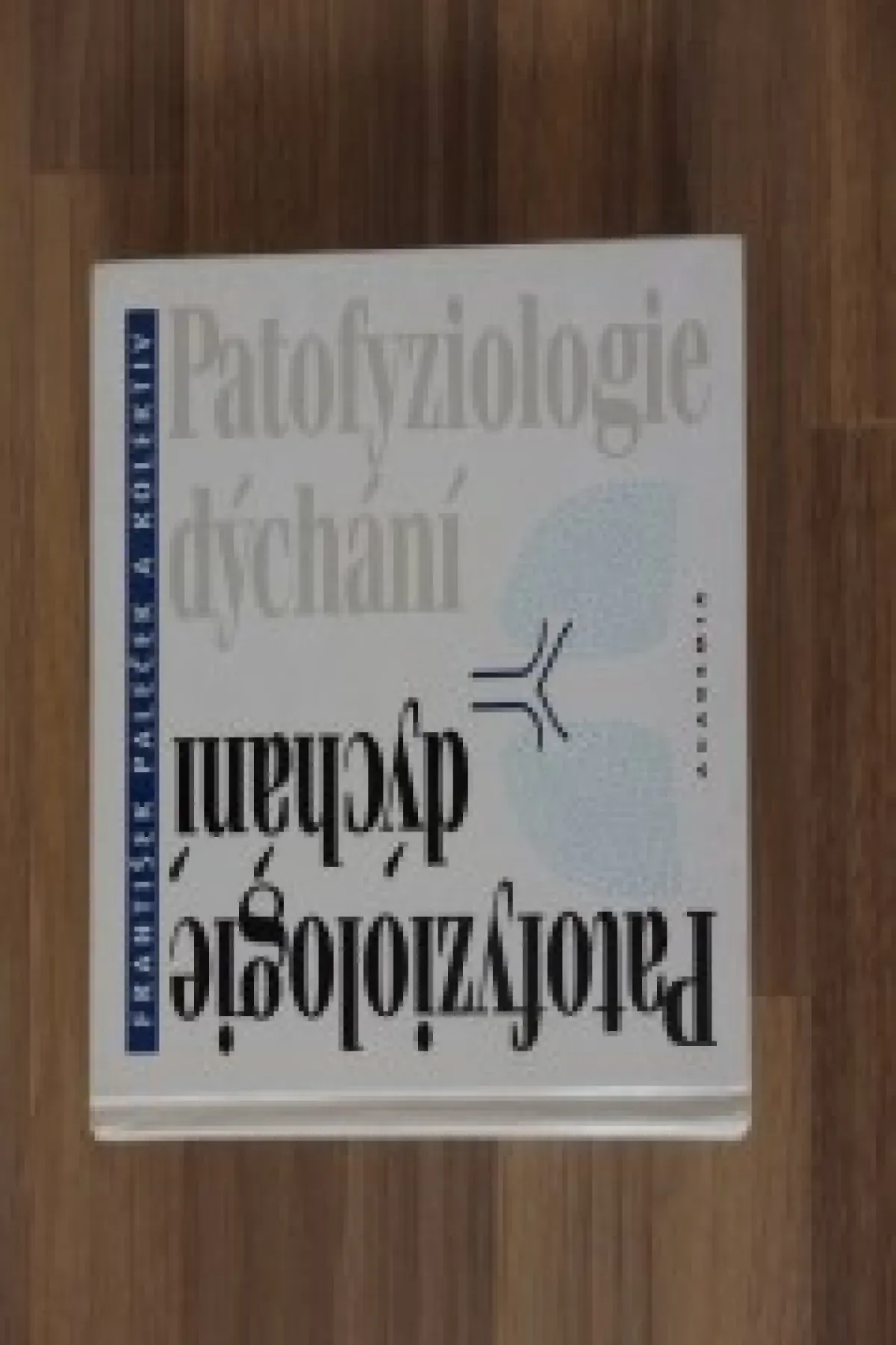patofyziologie dychání