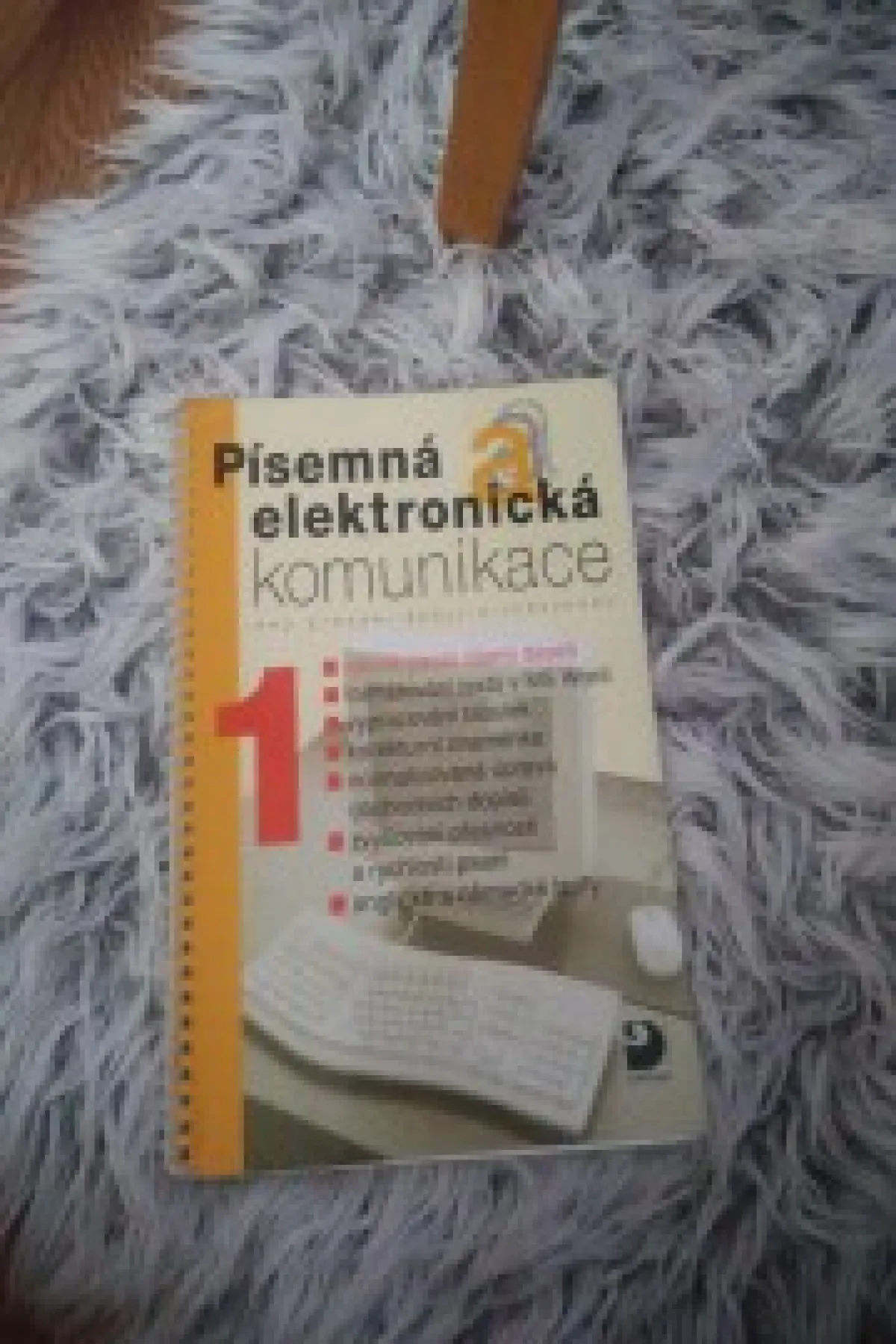 Písemná a elektronická komunikace 
