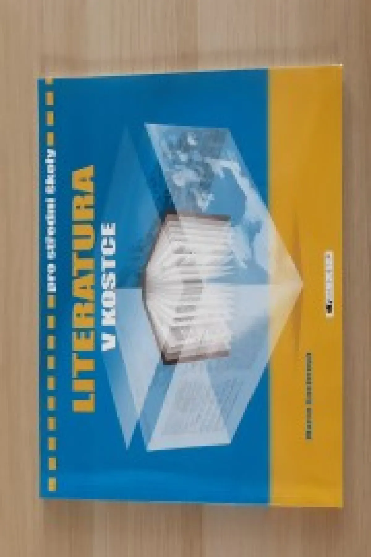 Literatura v kostce