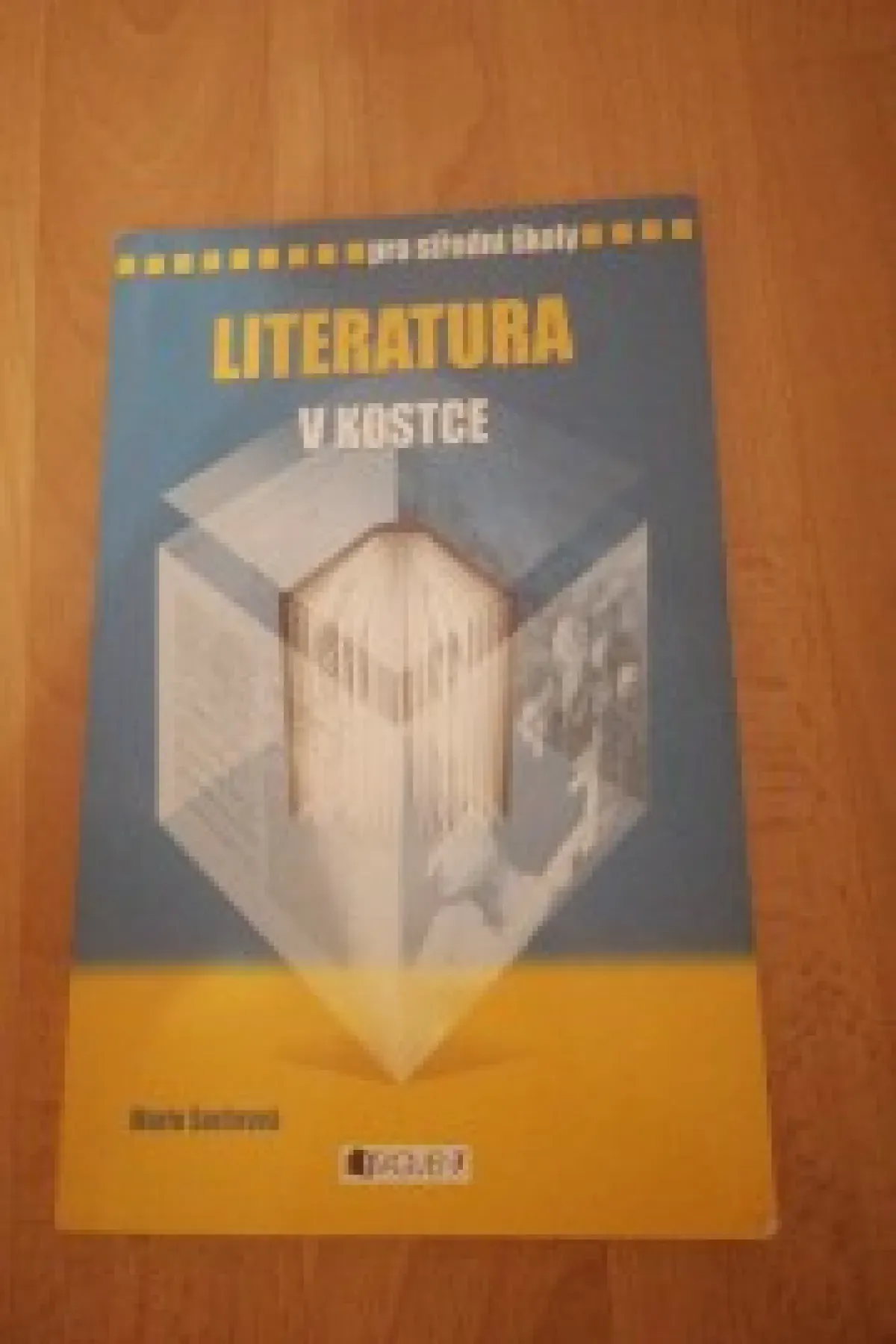 Literatura v kostce