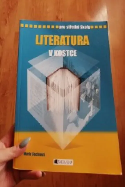 Literatura v kostce 