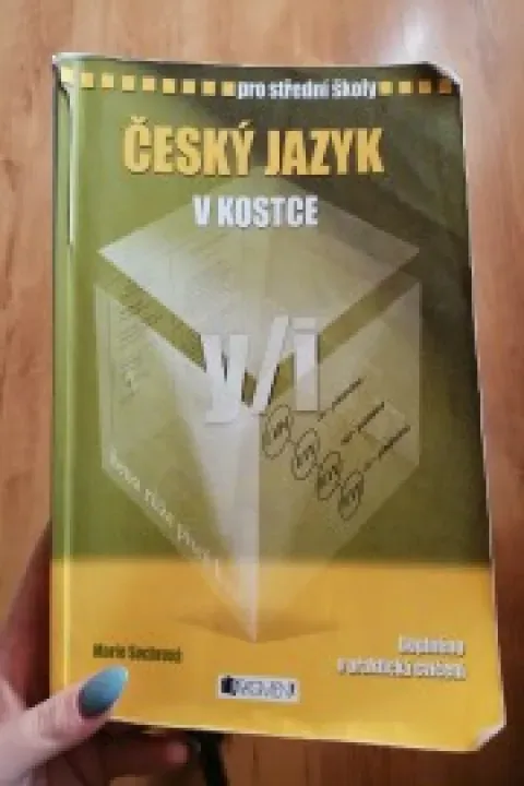 Český jazyk a cvičení z českého jazyka v kostce