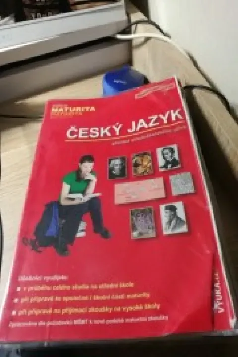 Český jazyk, přehled středoškolského učiva