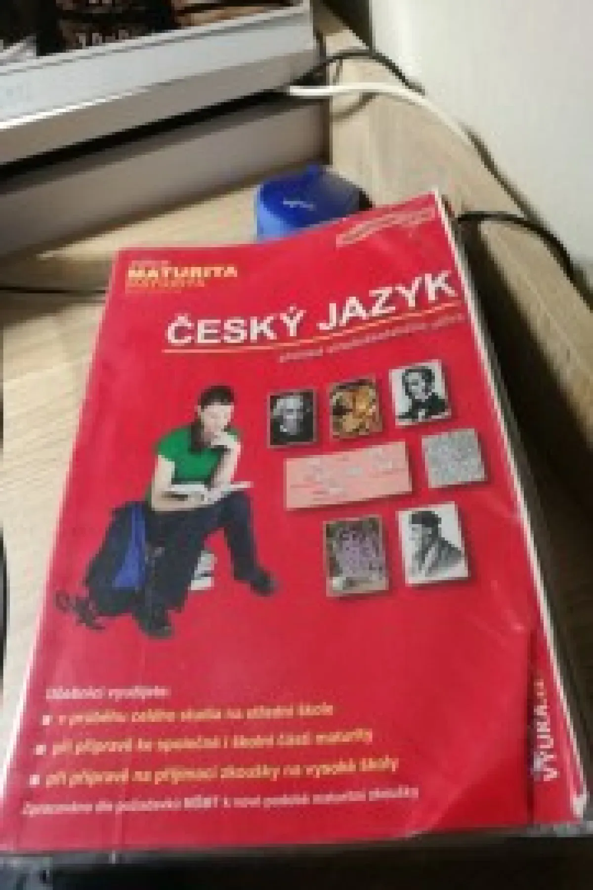Český jazyk, přehled středoškolského učiva