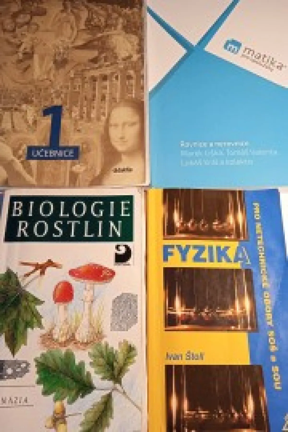 Fyzika pro netechnické obory SOŠ a SOU
