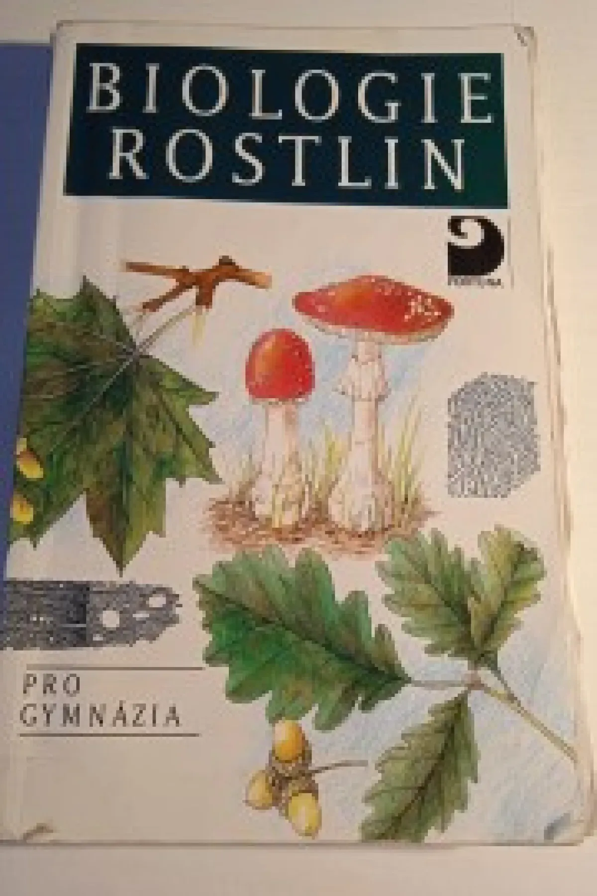 Biologie rostlin pro gymnázia