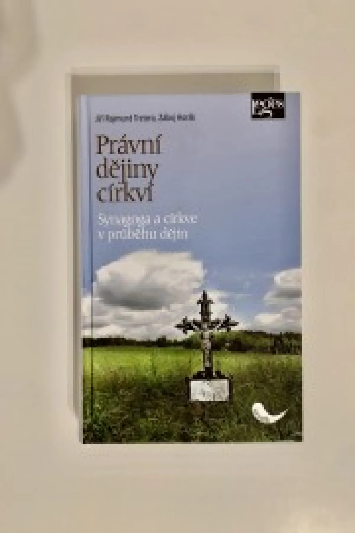Právní dějiny církví: Synagoga a církve v průběhu dějin