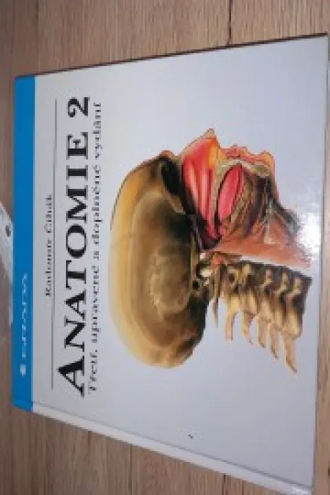 Anatomie 2-Čihák