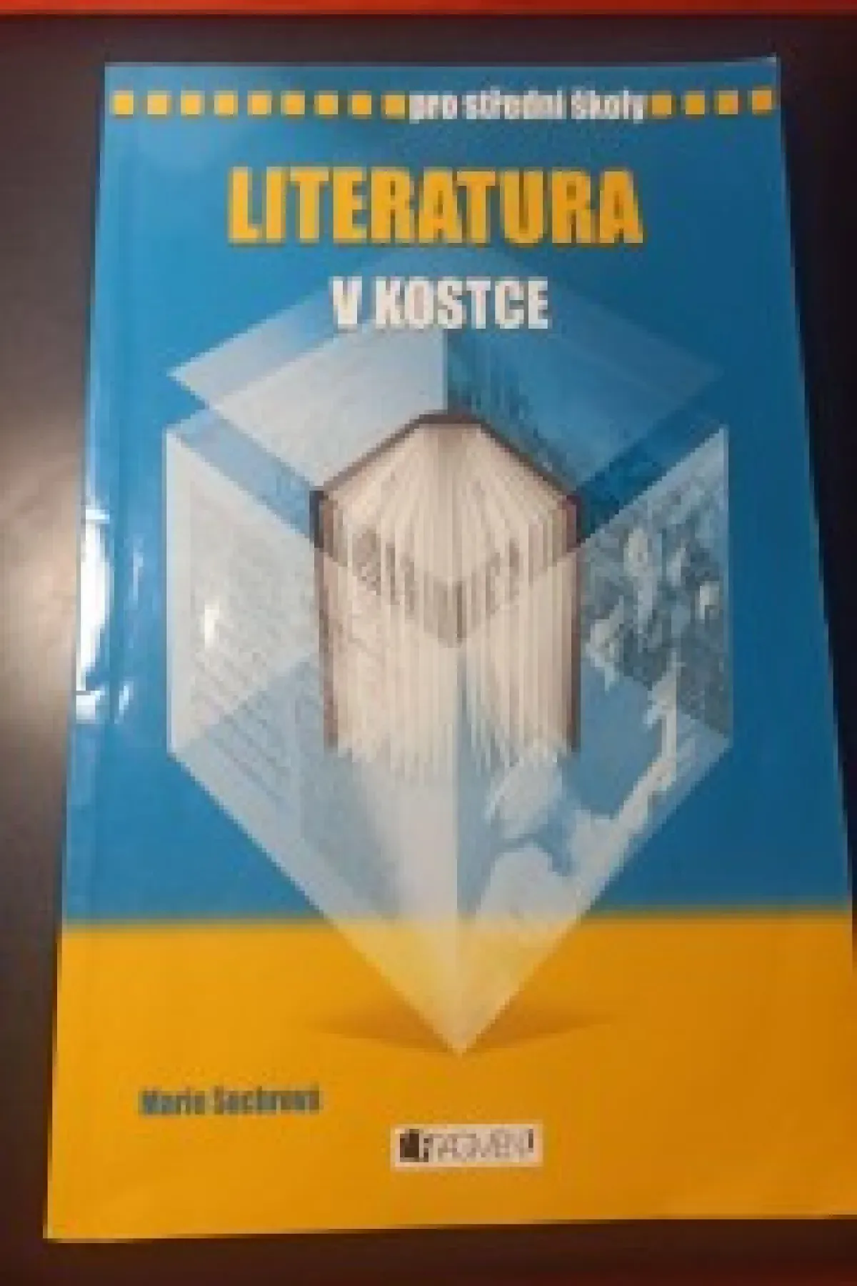 Literatura v kostce