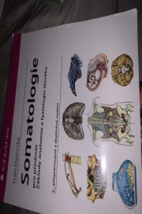 Somatologie