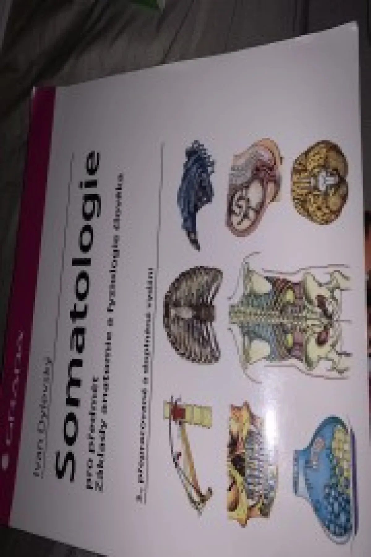 Somatologie