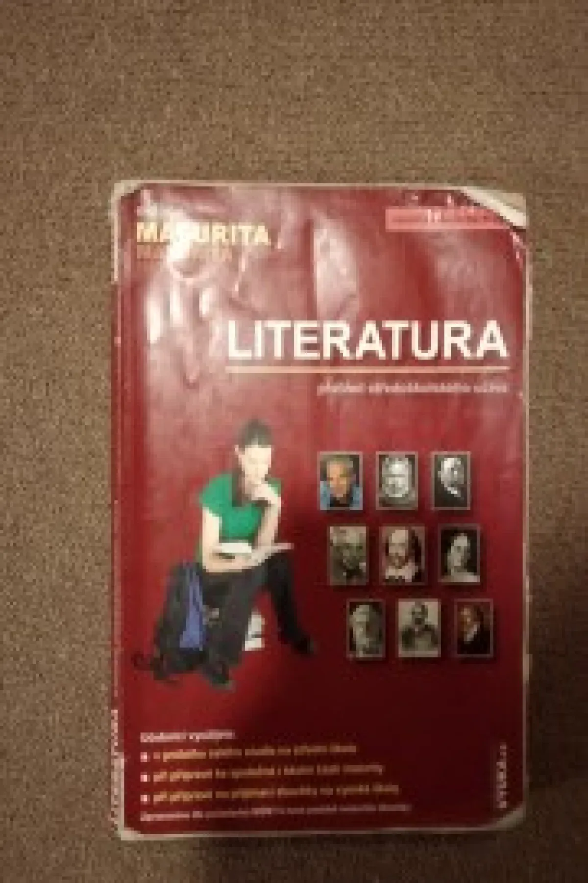 Literatura, přehled středoškolského učiva