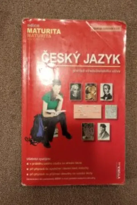 Český jazyk, přehled středoškolského učiva