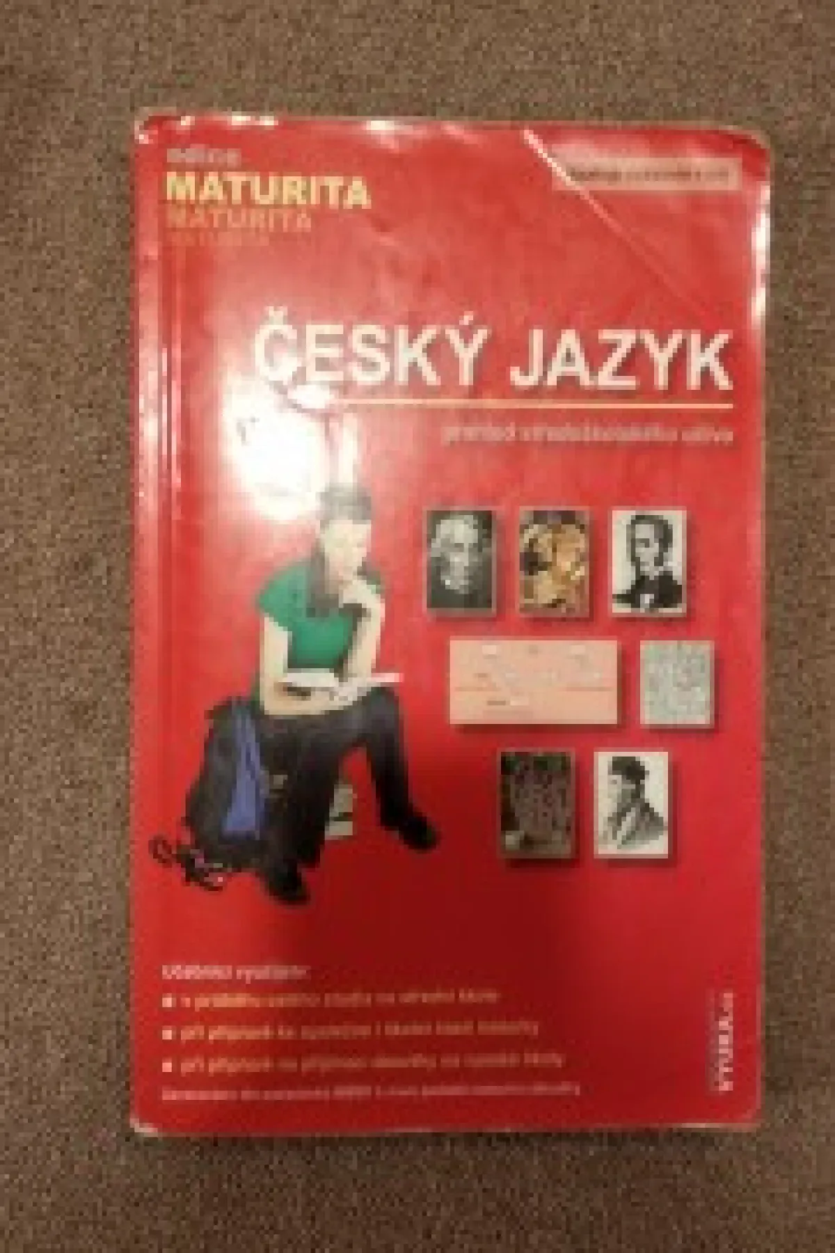 Český jazyk, přehled středoškolského učiva