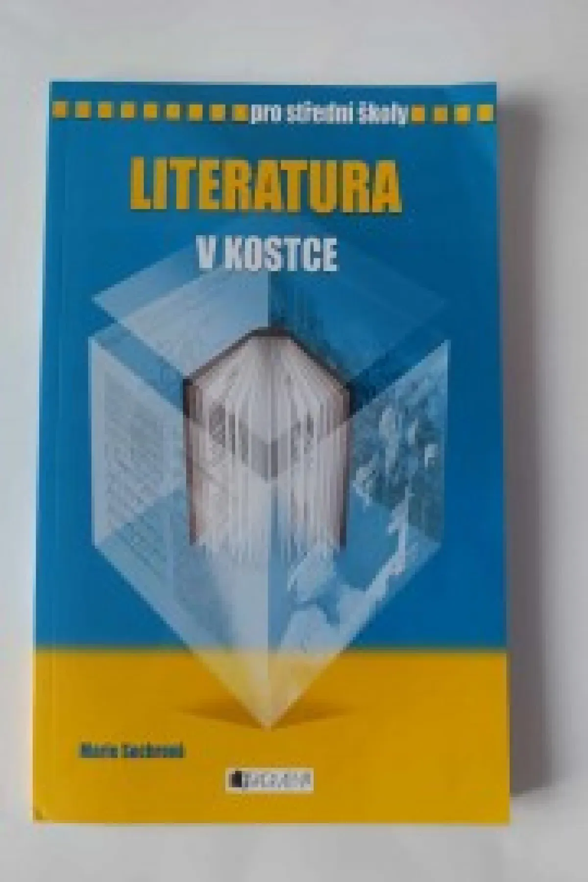 Literatura v kostce