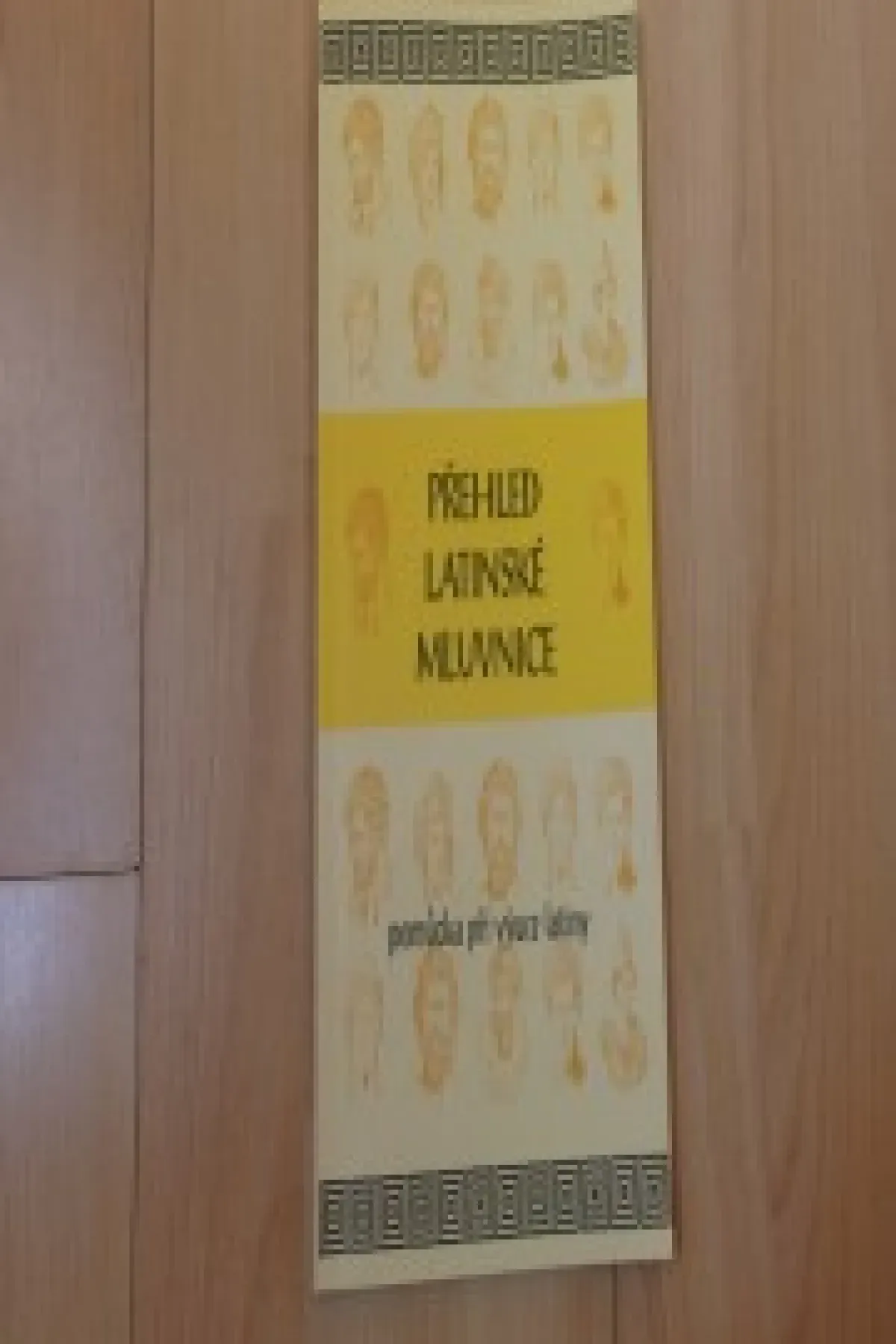 Přehled latinské mluvnice