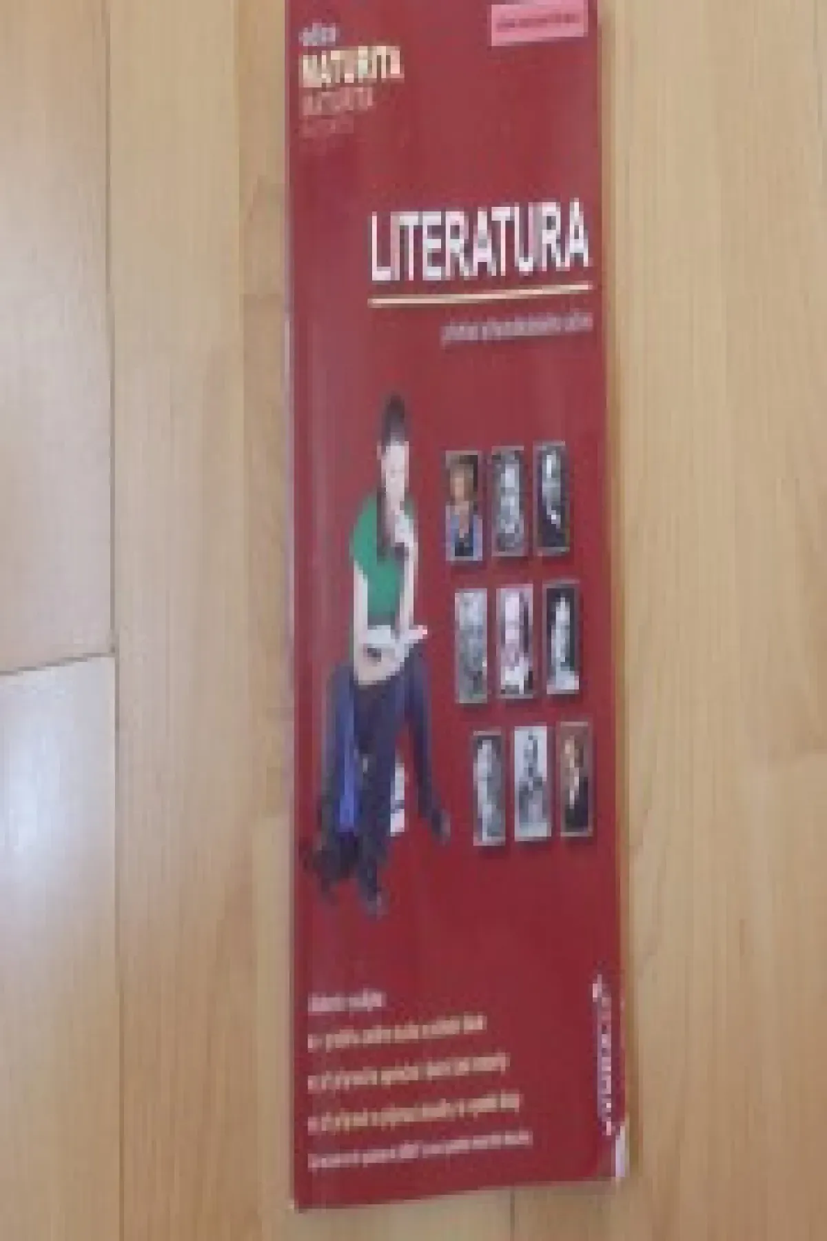 Literatura-přehled středoškolského učiva