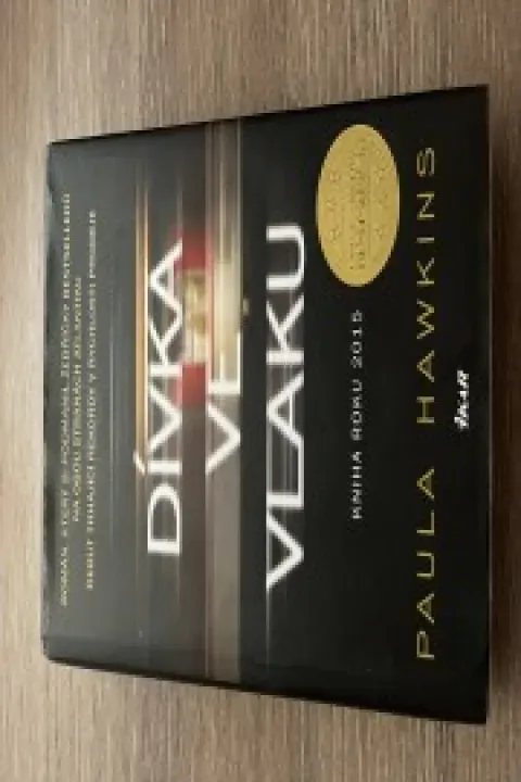 Dívka ve vlaku 