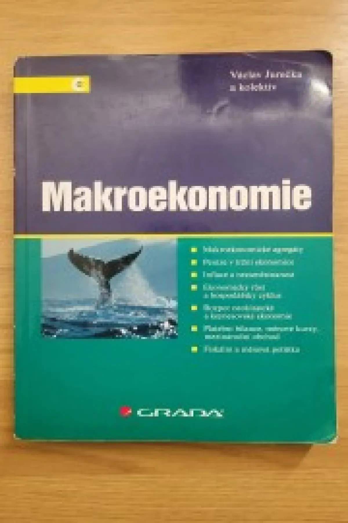 Makroekonomie