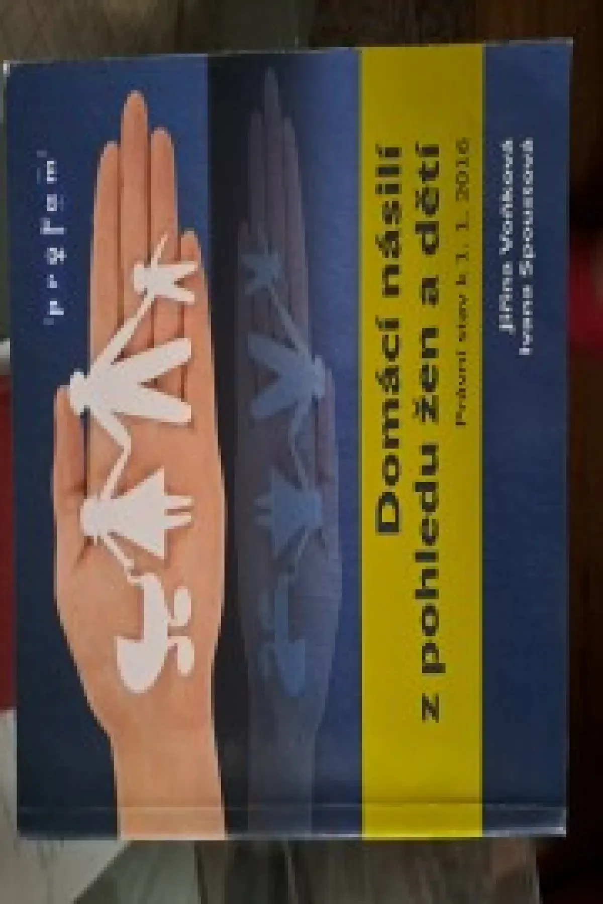 Domácí násilí z pohledu žen a dětí