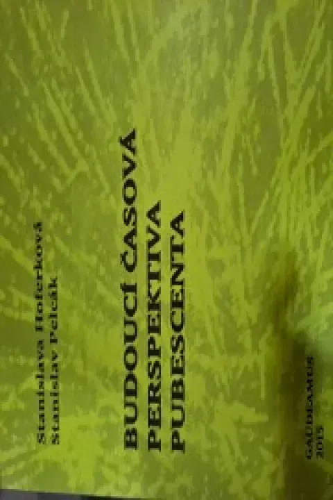 Budoucí časová perspektiva pubescenta