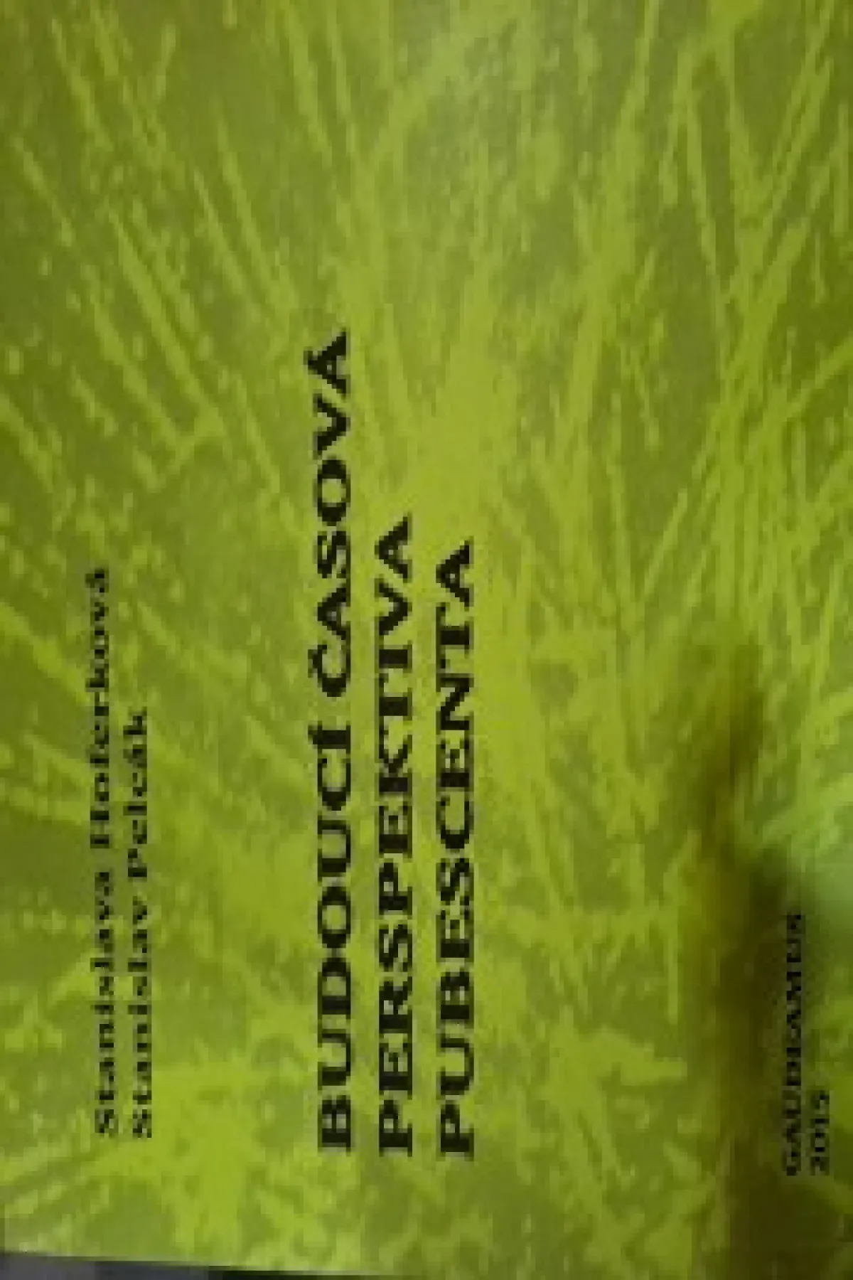 Budoucí časová perspektiva pubescenta