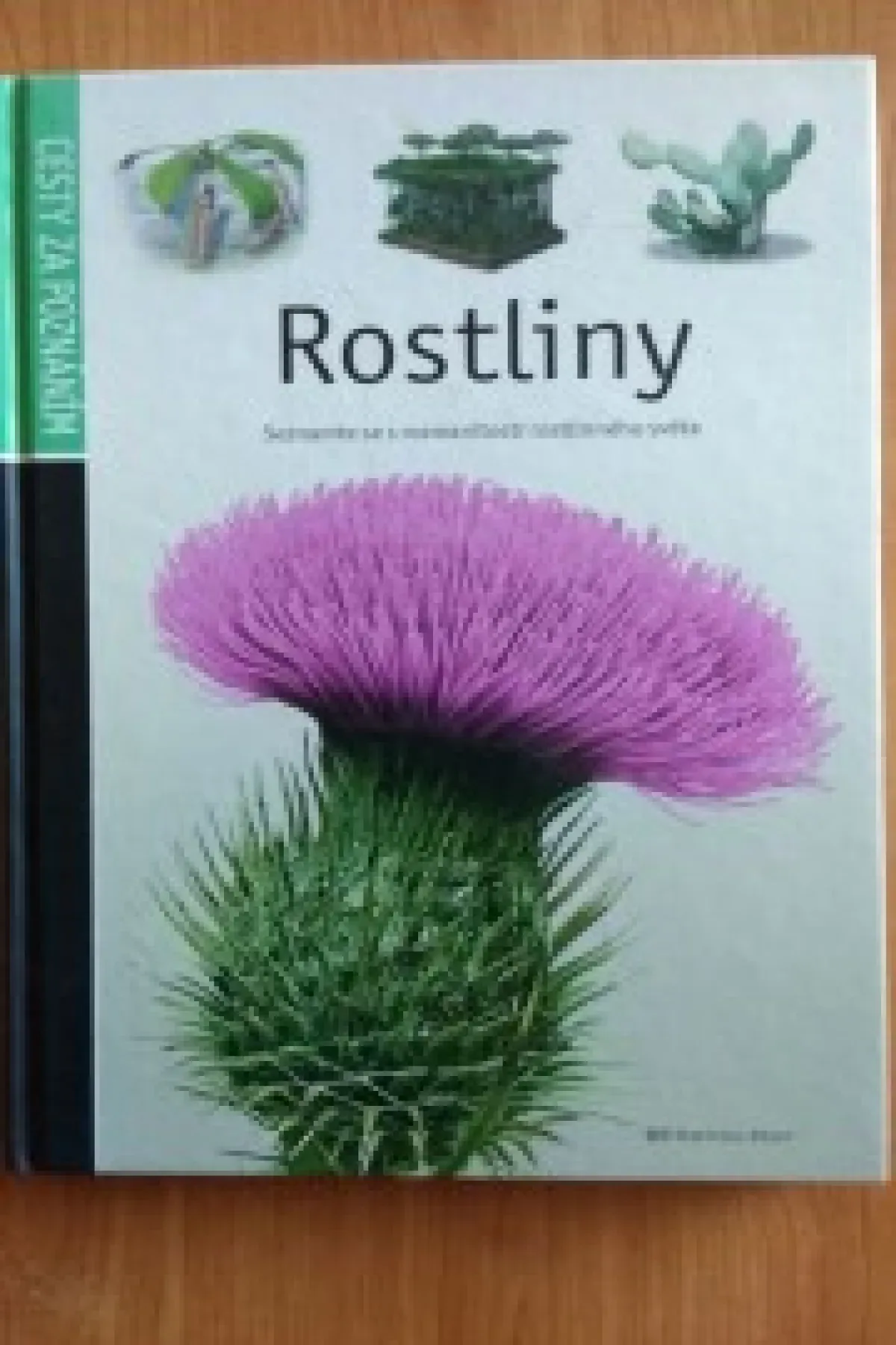 Rostliny