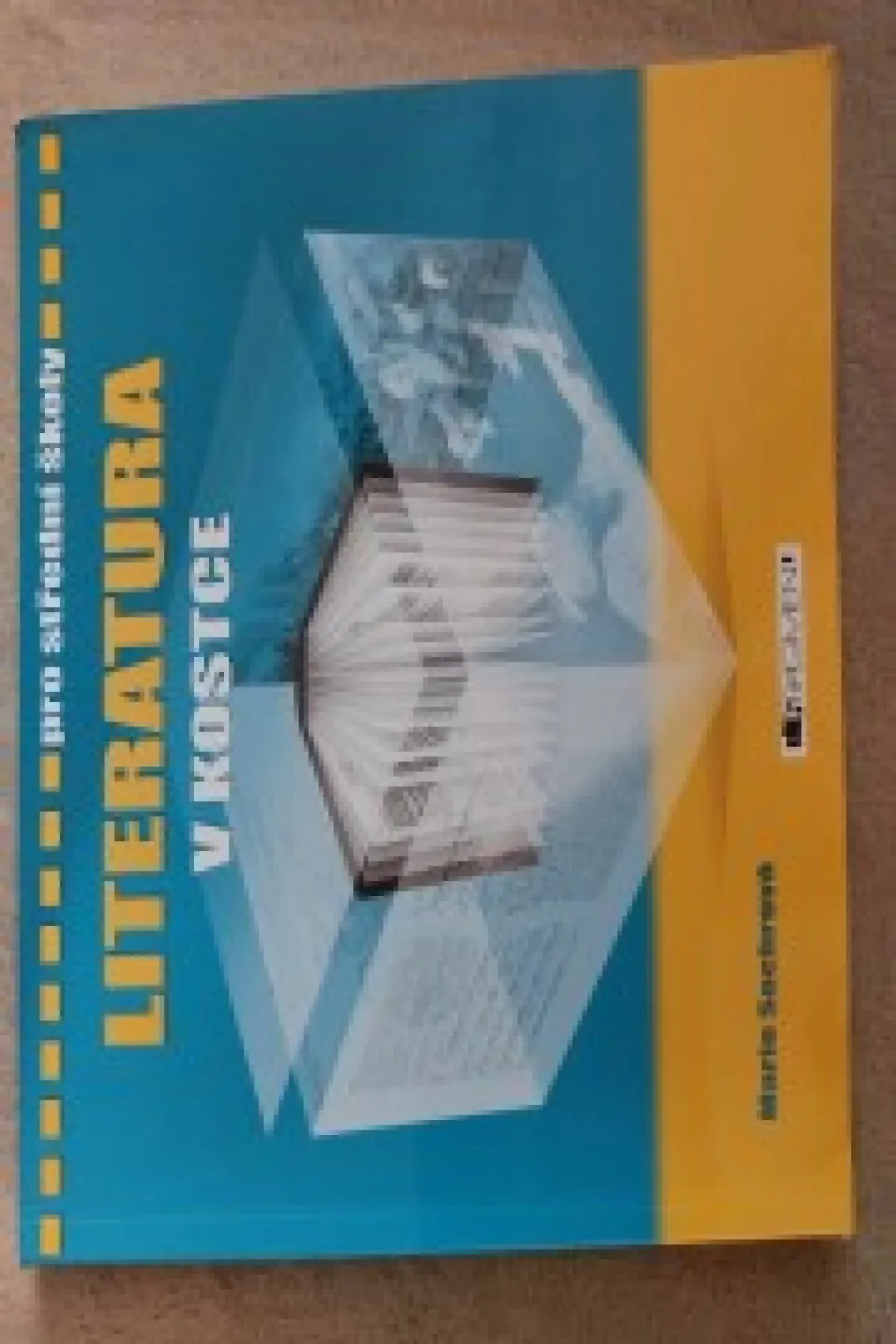 Literatura v kostce
