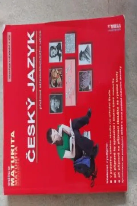 ČESKÝ JAZYK