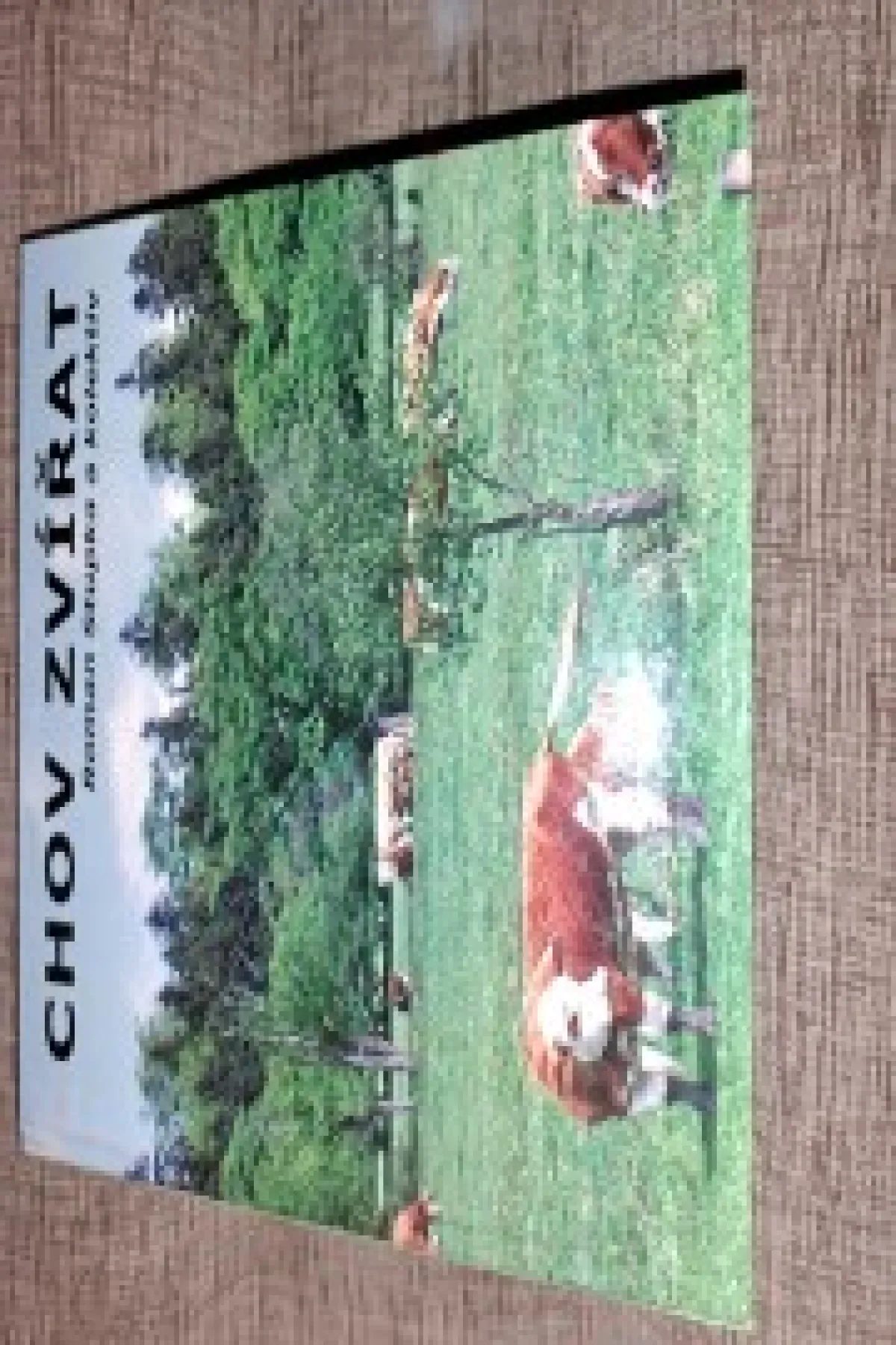 Chov zvirat