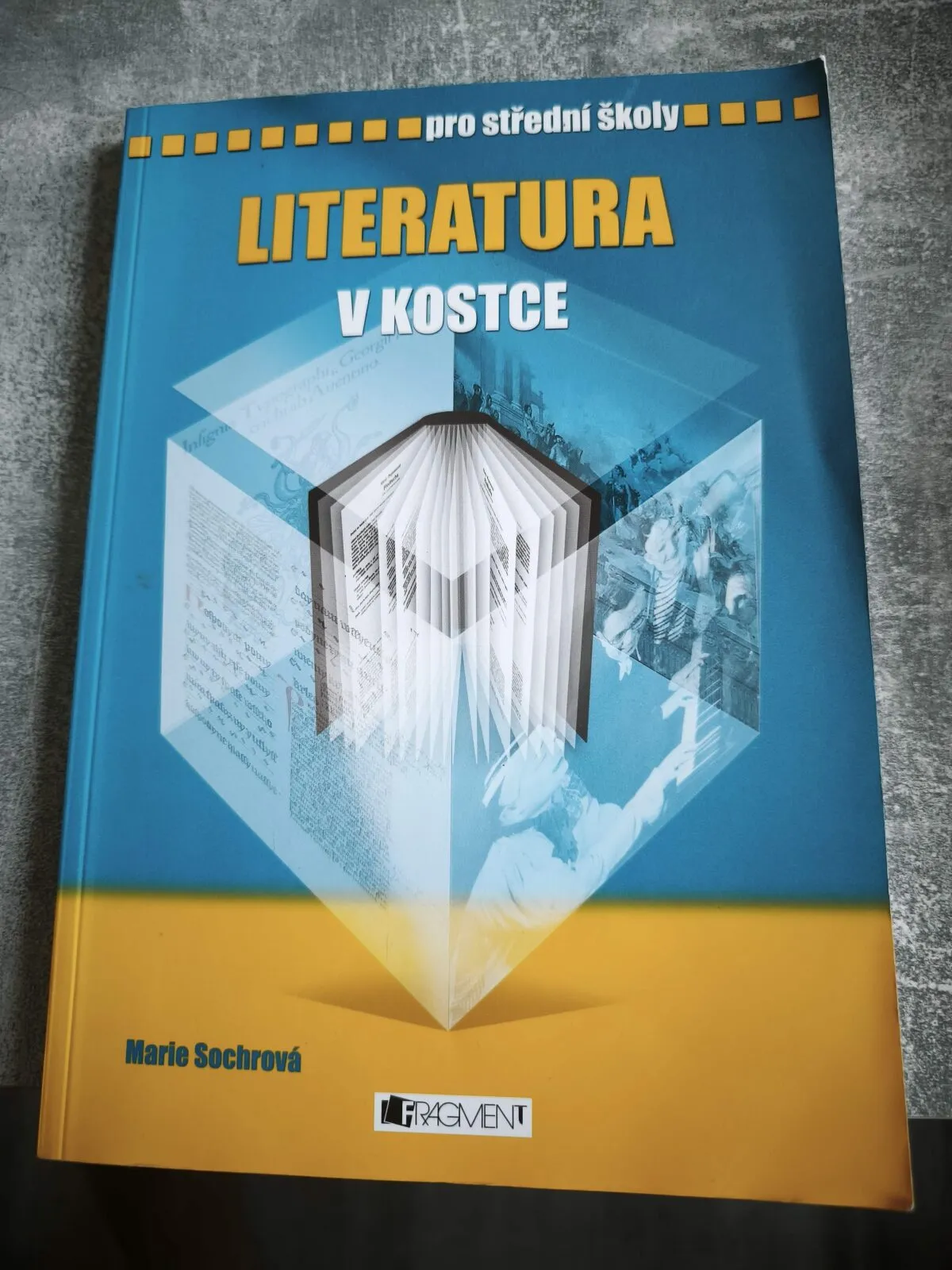 Literatura v kostce