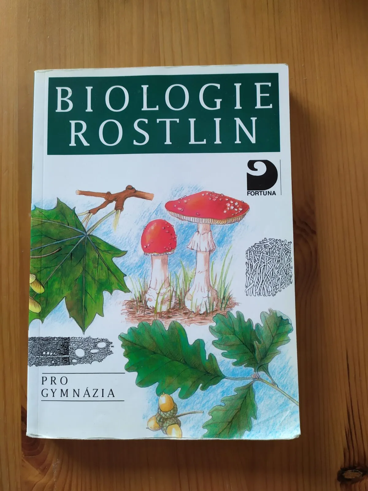 Biologie rostlin pro gymnázia