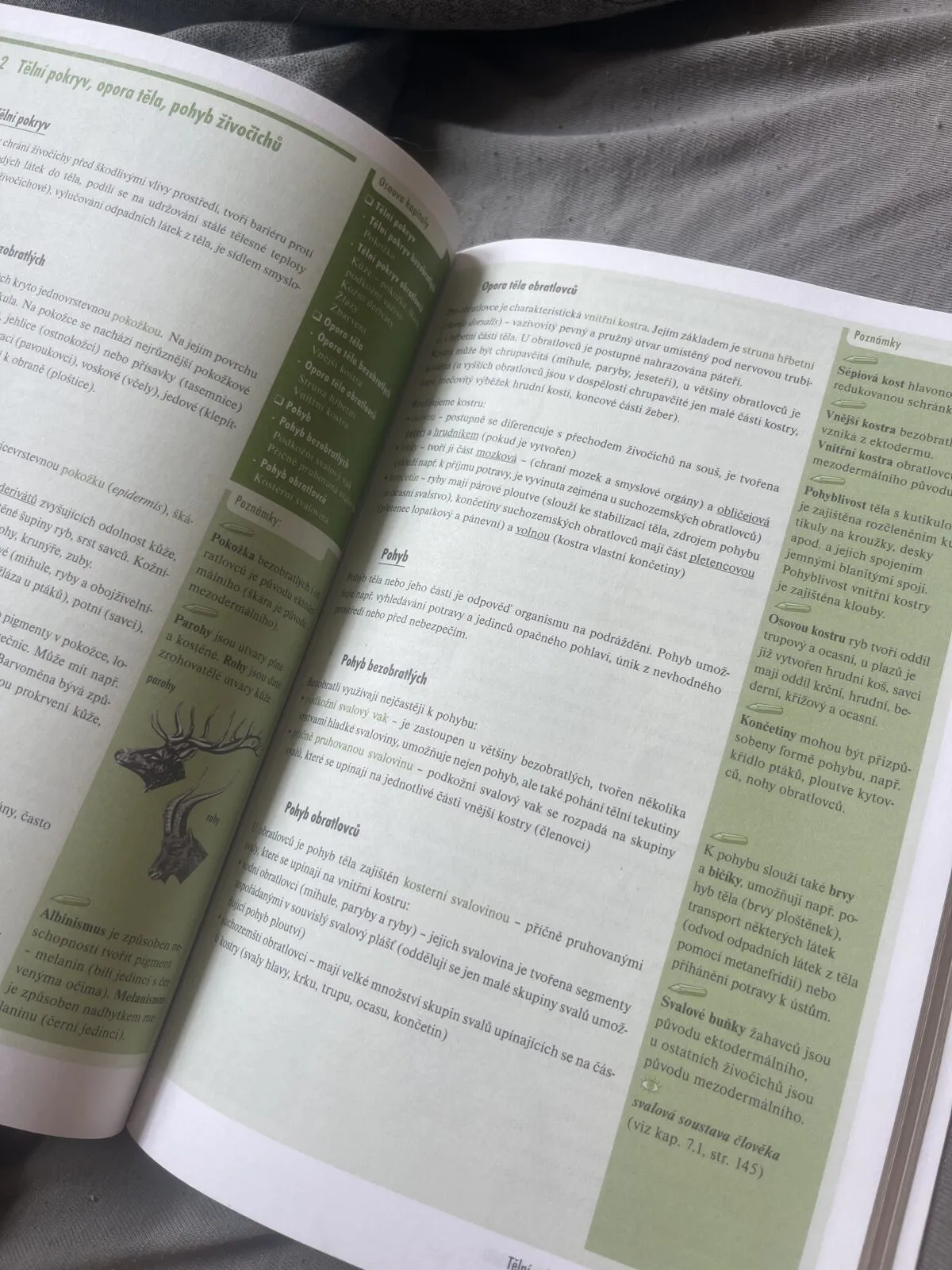 Odmaturuj! z biologie, fotografie 2