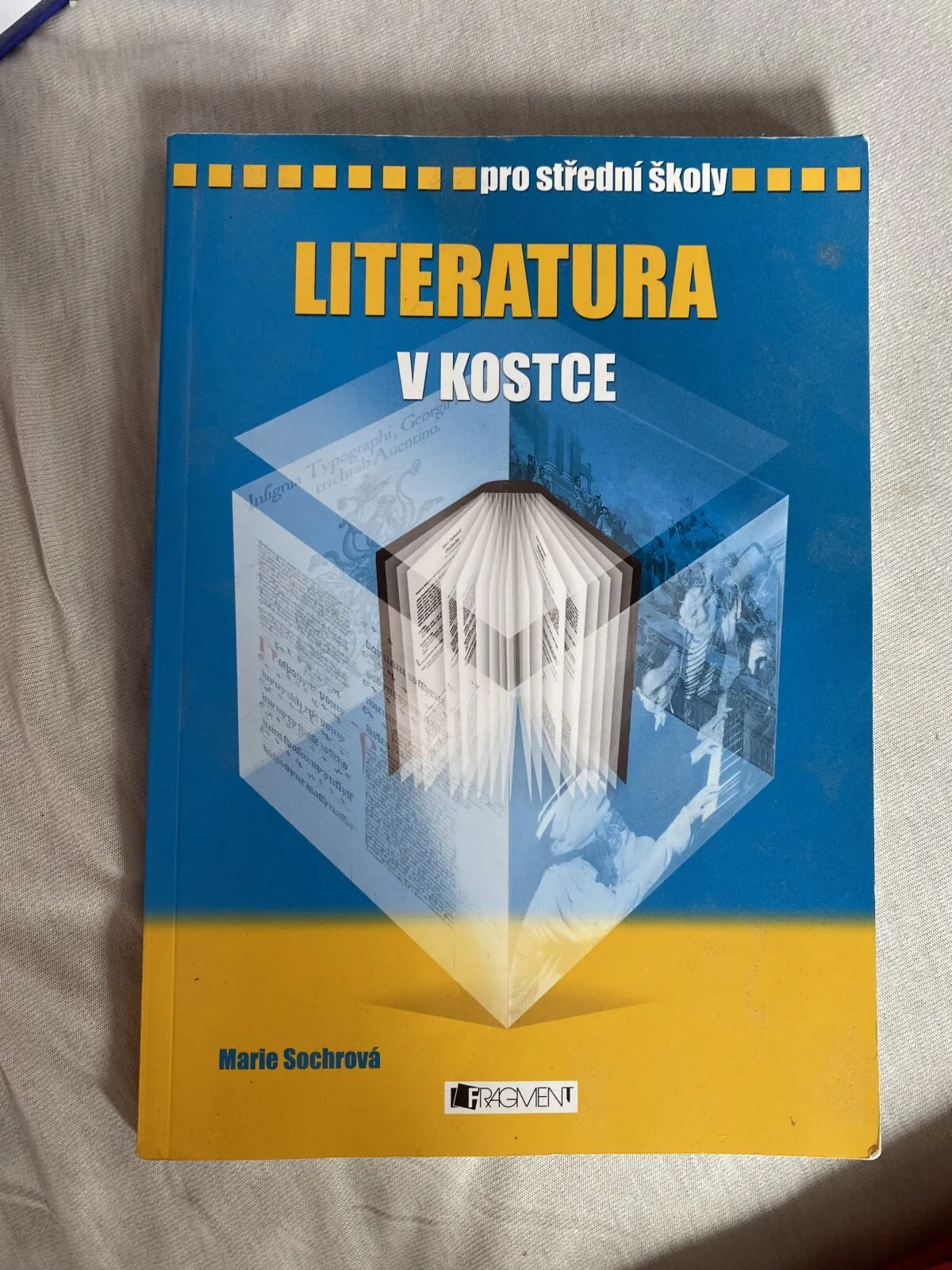 Literatura v kostce