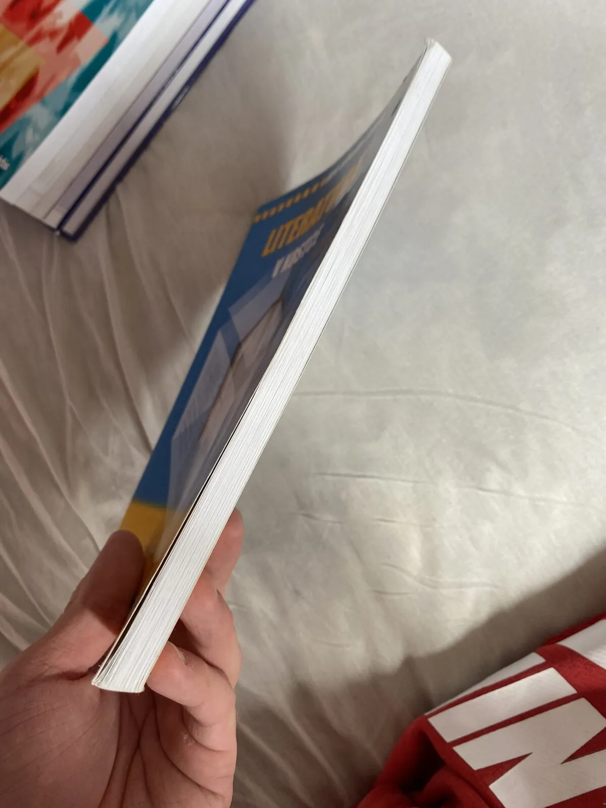 Literatura v kostce, fotografie 3