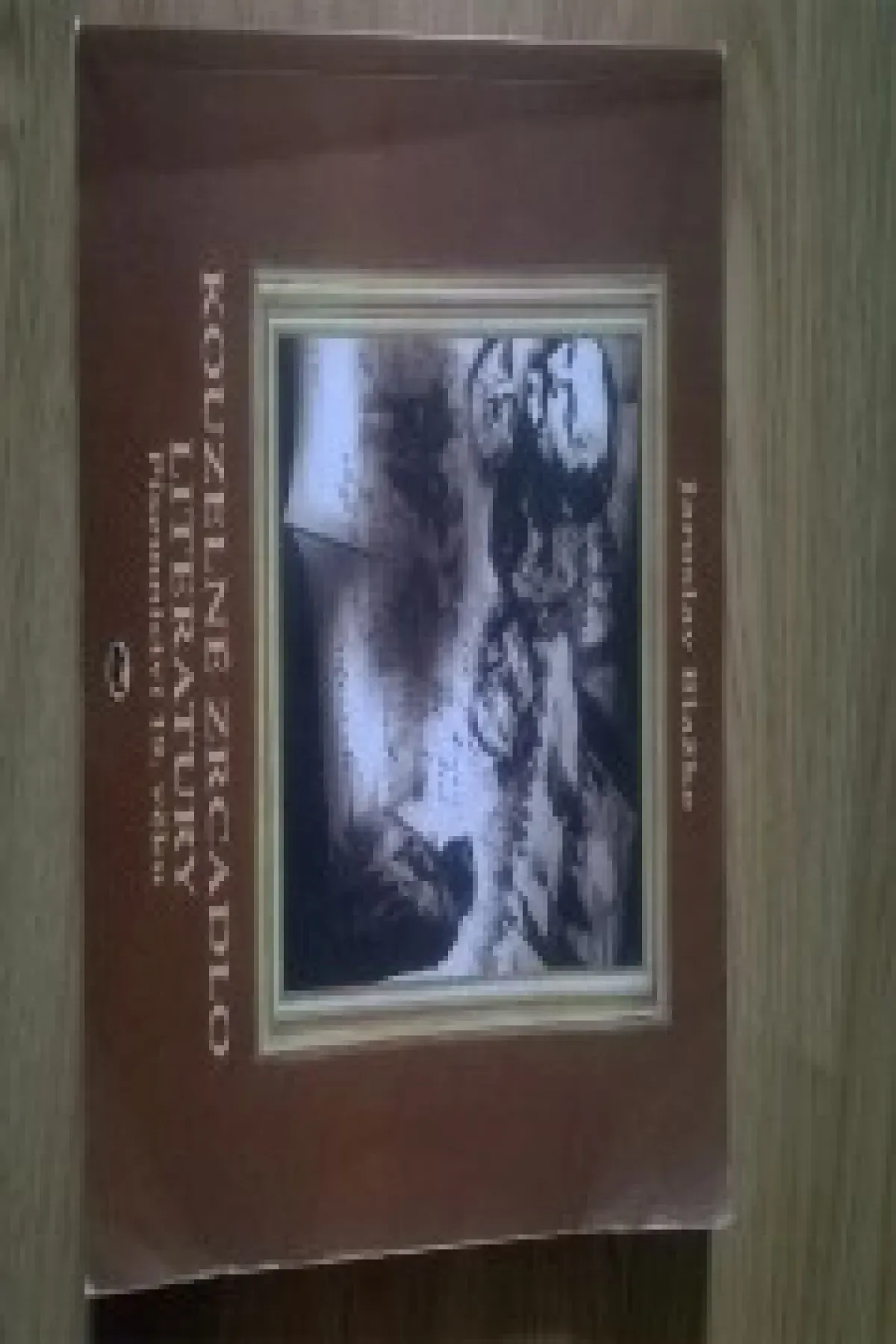 Kouzelné zrcadlo literatury písemnictví 19. věku