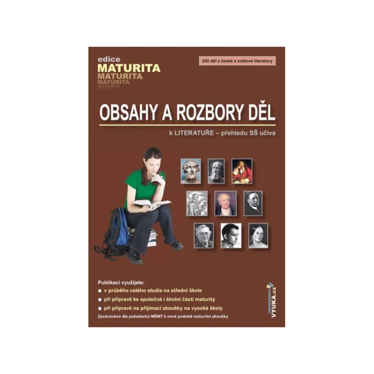 Obsahy a rozbory děl k Literatuře - přehledu SŠ učiva, fotografie 2