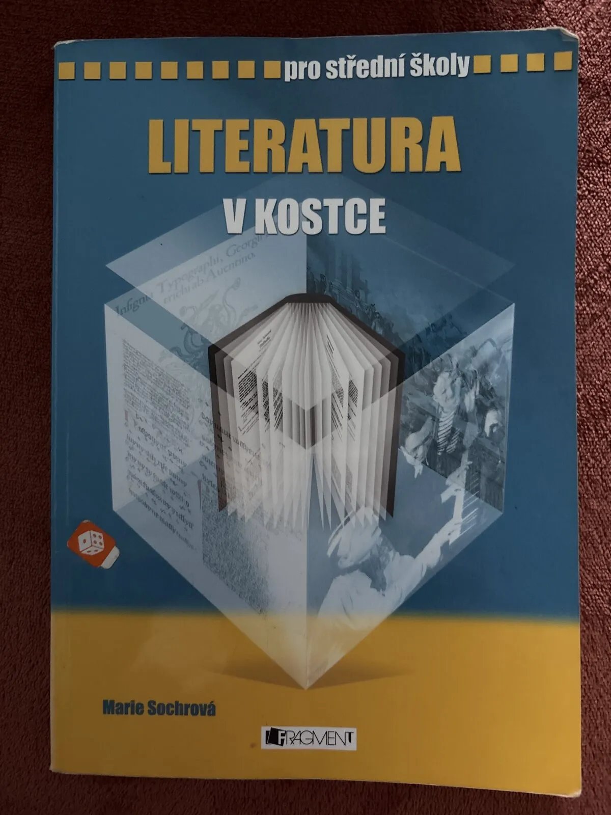 Literatura v kostce