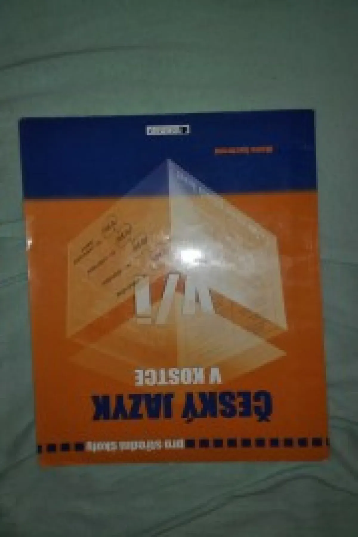 Český jazyk v kostce
