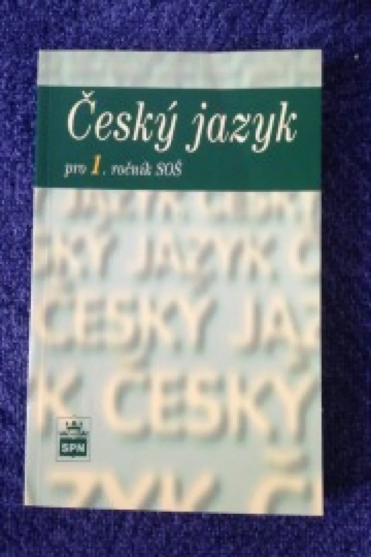 Český jazyk pro 1. ročník SOŠ