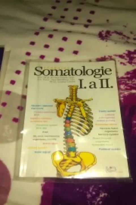Somatologie