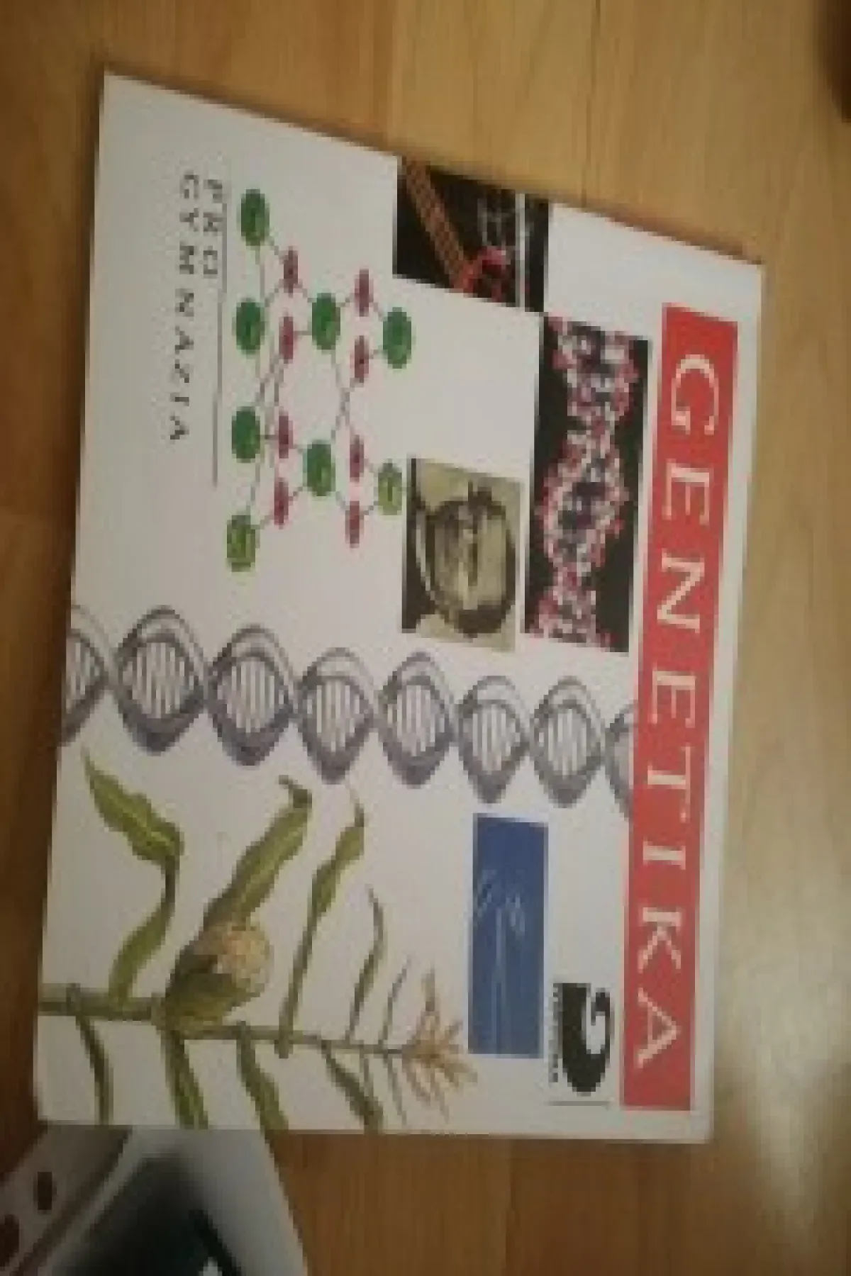 Čeština pro cizince úroveň B2 (učebnice + cvičebnice)