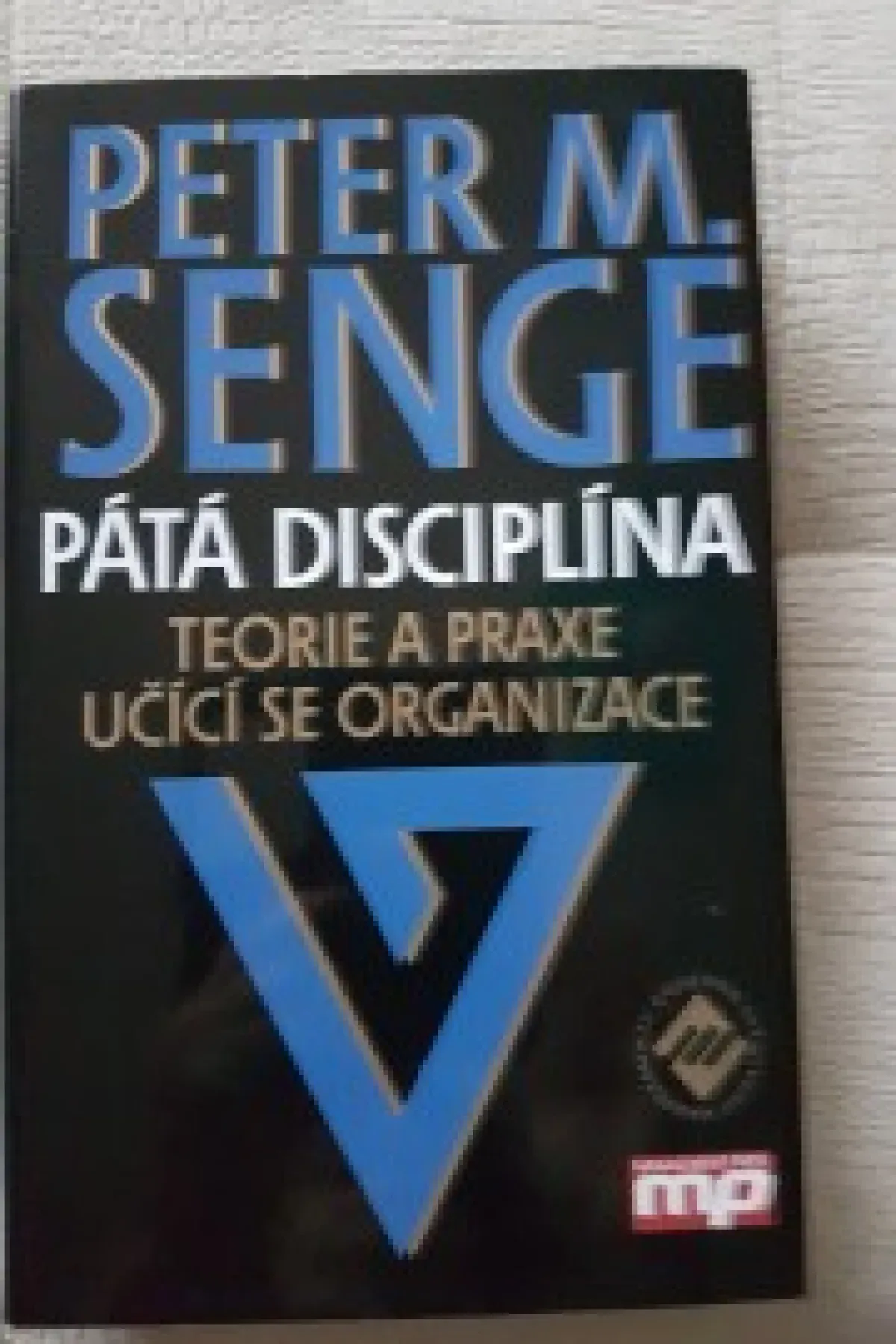 Pátá disciplína Teorie a praxe učící se organizace