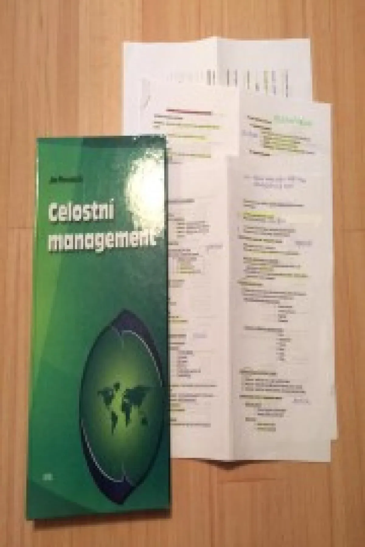 celostní management